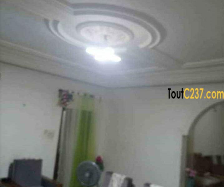 Duplex à vendre à pk14, Douala