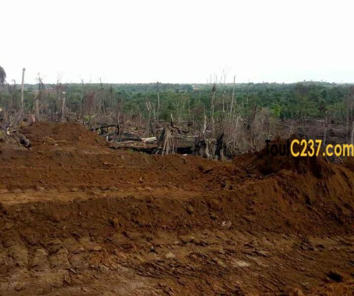 Terrain à vendre à Lendi, Douala