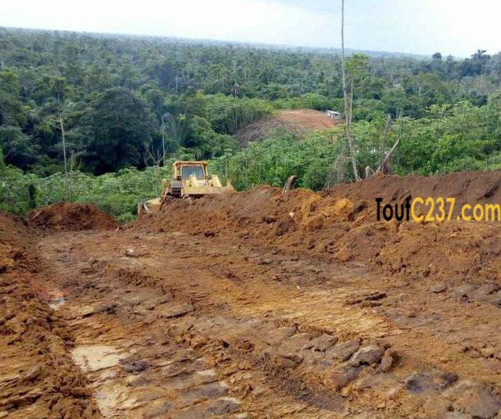 Terrain à vendre à Lendi, Douala