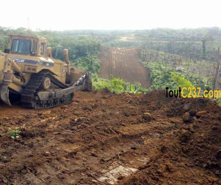 Terrain à vendre à Lendi, Douala