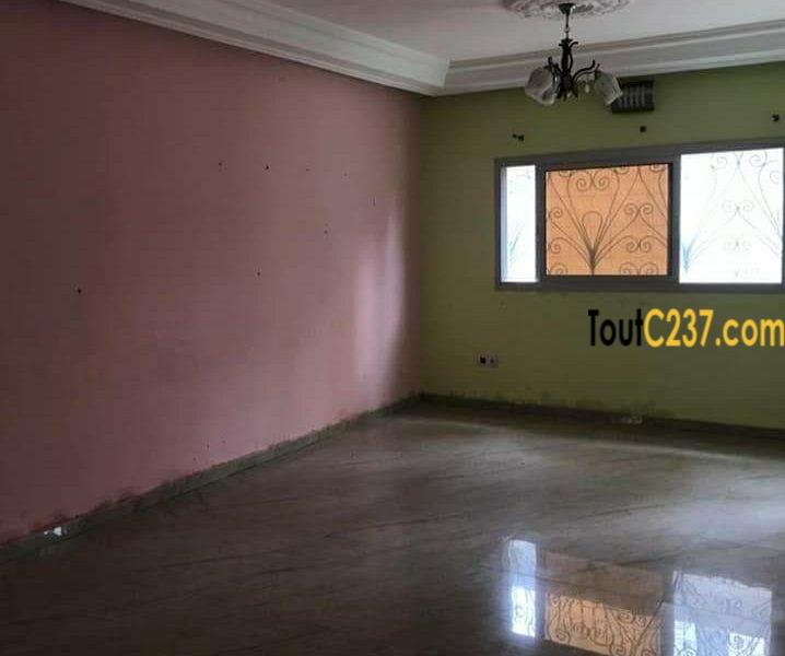 Appartement à louer à bonapriso, Douala
