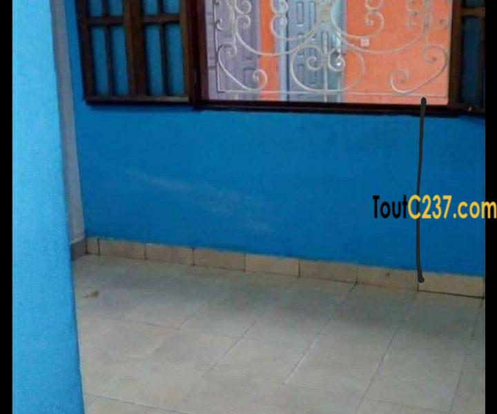 Villa, maison à vendre à Logpom, Douala