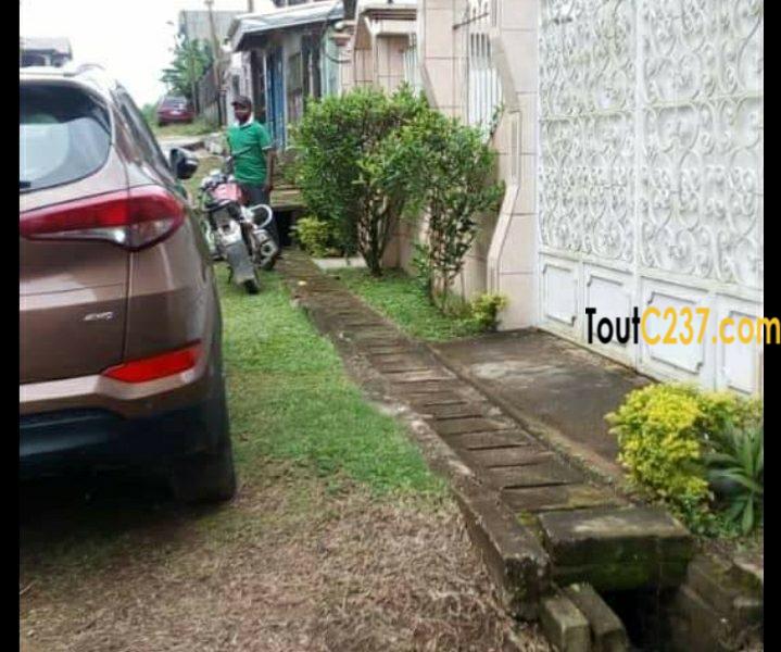 Villa, maison à vendre à Logpom, Douala