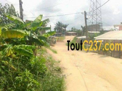 Terrain À Vendre À Pk16, Douala