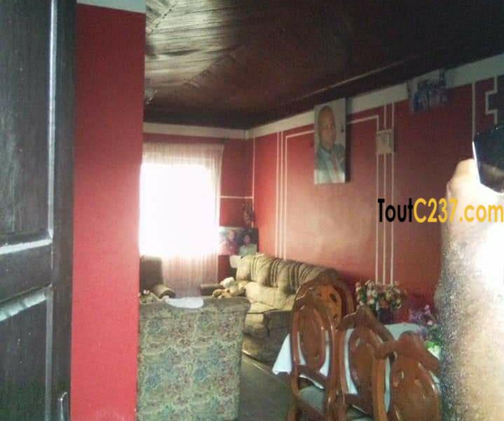 Maison À Vendre À Ndogpassi, Douala