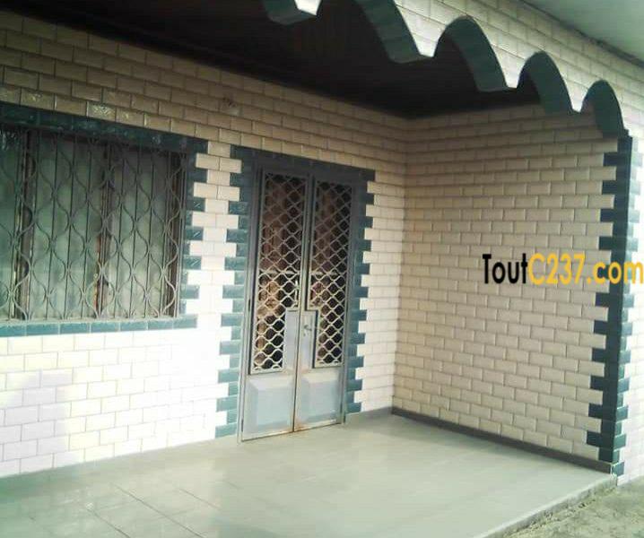 Maison À Vendre À Ndogpassi, Douala