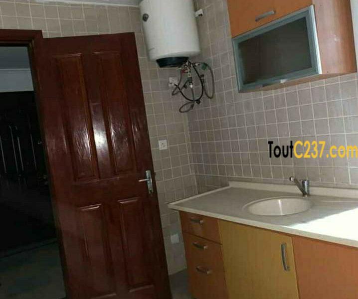 Appartement à louer à Bonanjo, Douala