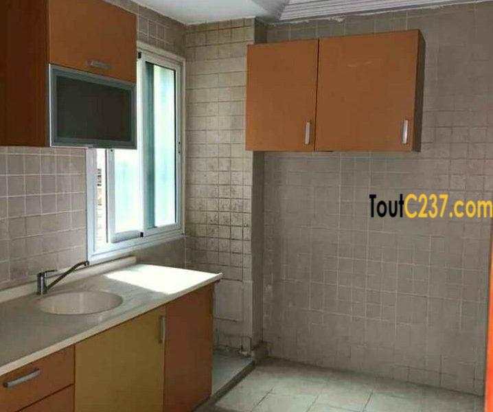 Appartement à louer à Bonanjo, Douala