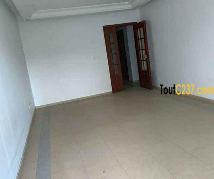 Appartement à louer à Bonanjo, Douala
