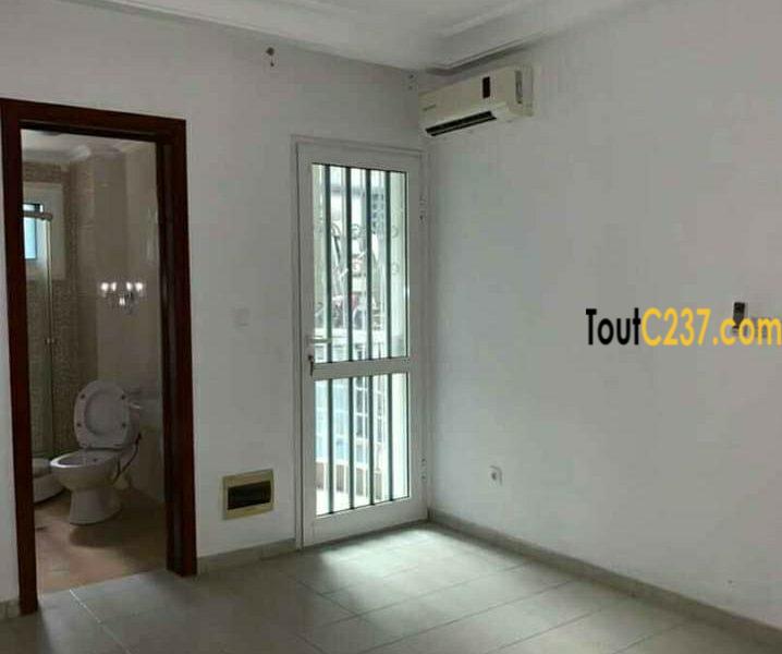 Appartement à louer à Bonanjo, Douala
