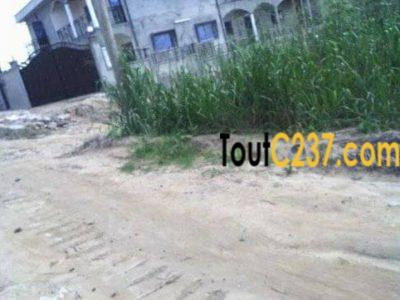 Terrain à vendre à Esg pk8, Douala