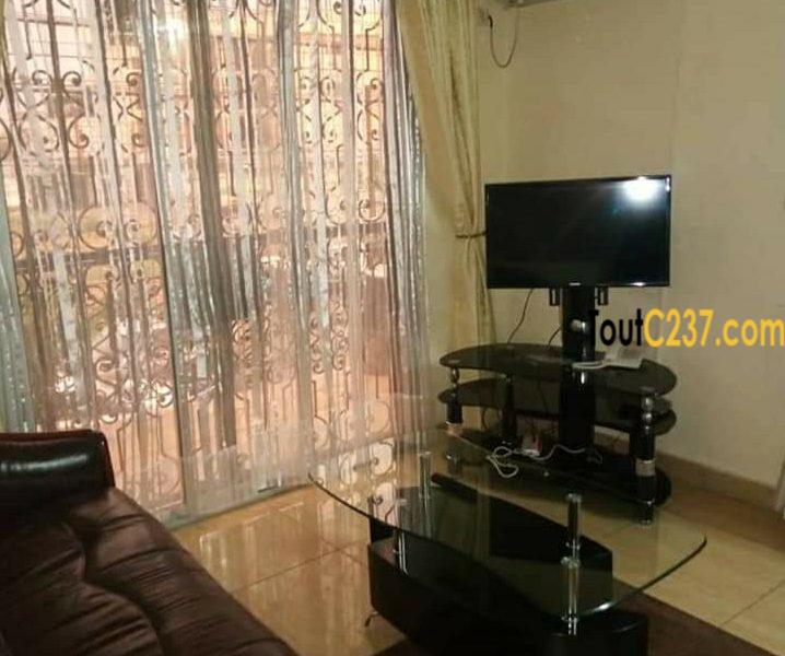Appartement, studio, chambres meublés à louer à Bonapriso, Douala