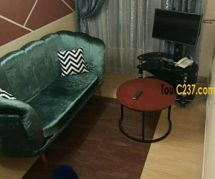 Appartement, studio, chambres meublés à louer à Bonapriso, Douala
