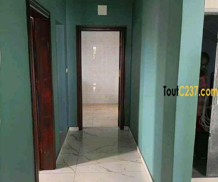 Appartement à louer à Bonamoussadi, Douala