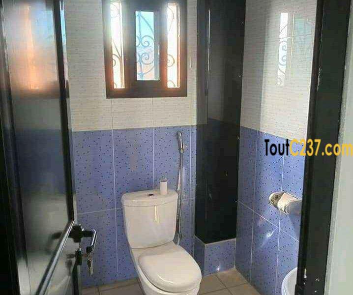 Appartement à louer à Bonamoussadi, Douala