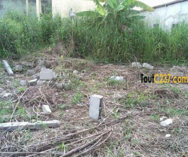 Terrain à vendre à Japoma, Douala