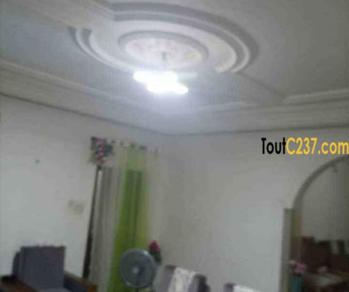 Duplex à vendre à pk14, Douala