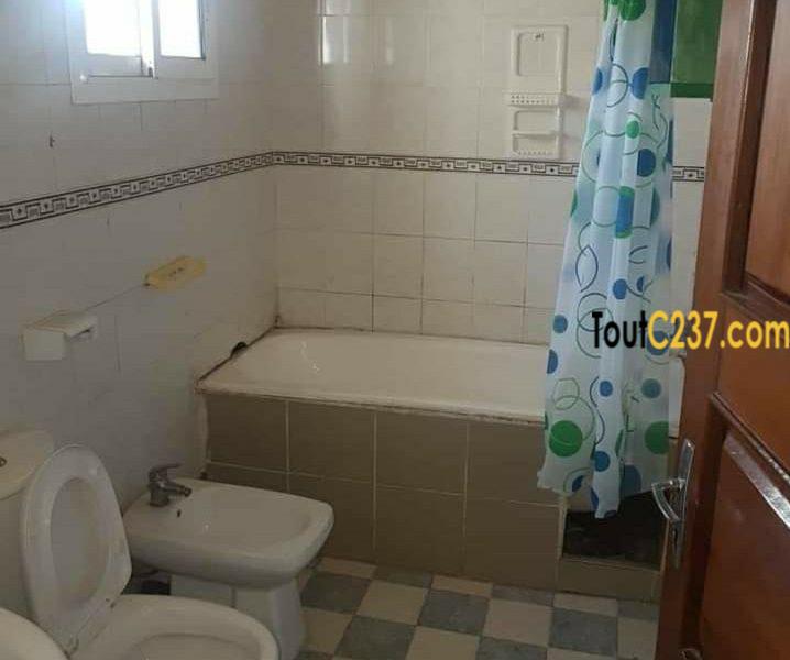 Appartement à louer à Bonamoussadi, Douala