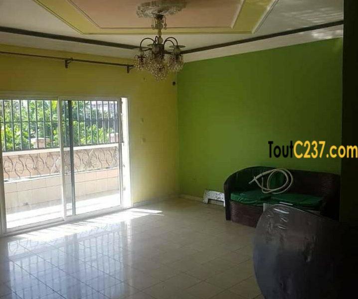 Appartement à louer à Bonamoussadi, Douala