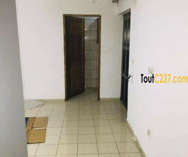 Studio Moderne à louer à Logbessou Douala