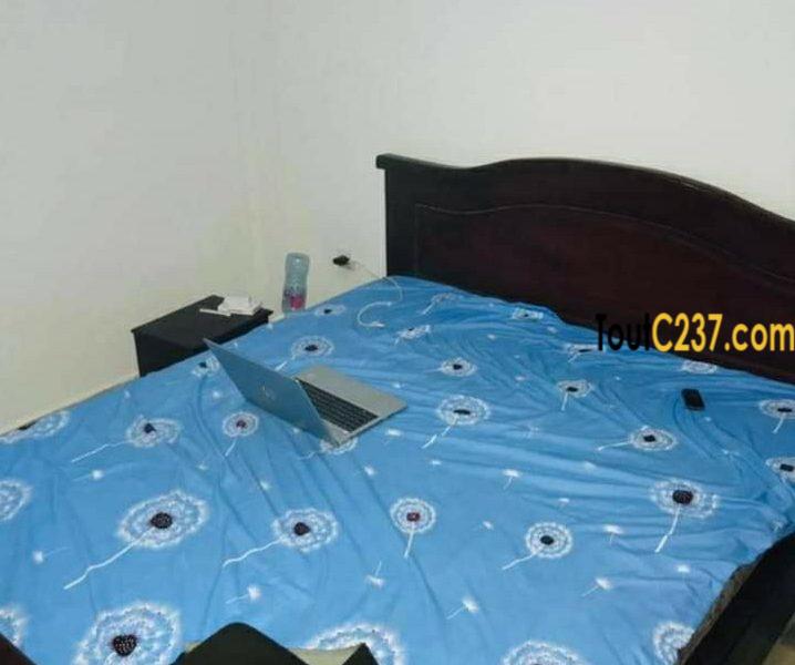 Studio Moderne à louer à Logbessou Douala