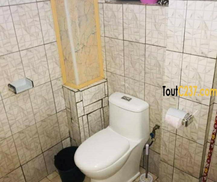 Studio Moderne à louer à Logbessou Douala