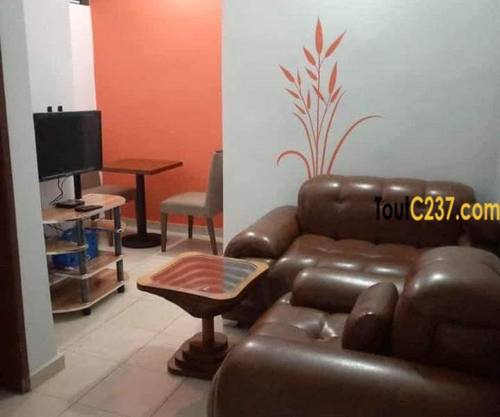 Studio Meublé à Louer à Japoma, Douala