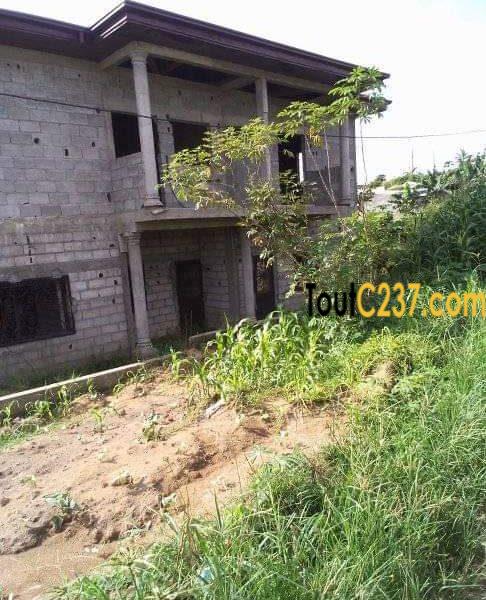 Terrain à vendre à Japoma, Douala