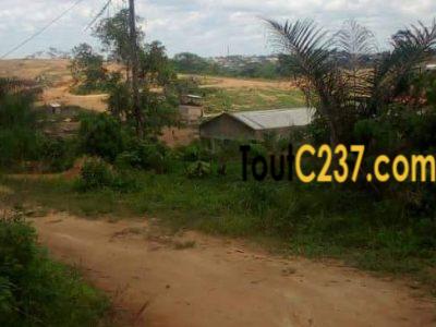 Terrain à vendre à Pk24, Douala