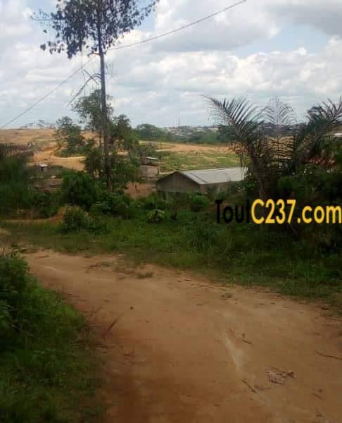 Terrain à vendre à Pk24, Douala