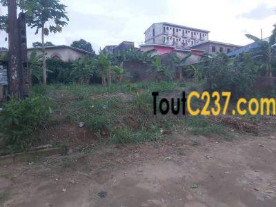 Terrain à vendre à Ndogbong, Douala