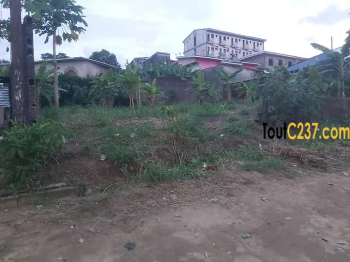 Terrain à vendre à Ndogbong, Douala