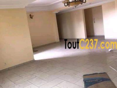 Appartement à louer à Bonamoussadi, Douala