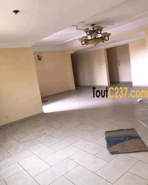 Appartement à louer à Bonamoussadi, Douala