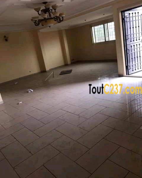 Appartement à louer à Bonamoussadi, Douala