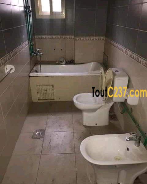 Appartement à louer à Bonamoussadi, Douala