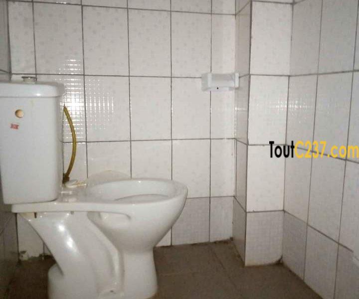 Appartement à louer à Bonamoussadi sable, Douala