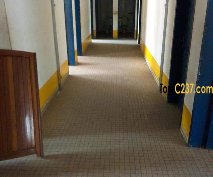 Bureaux à louer à Akwa, Douala