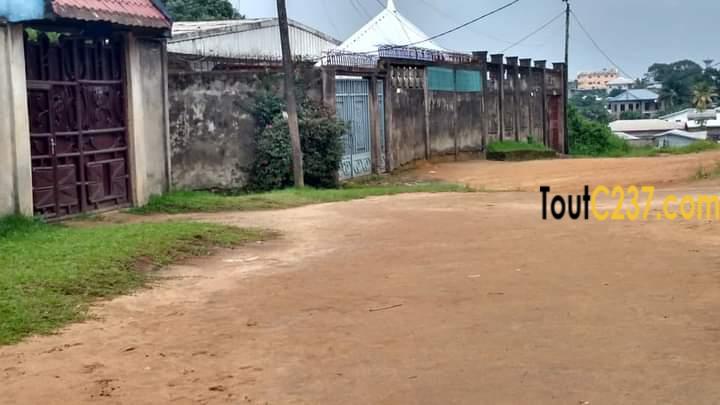 Terrain à vendre à Pk10, Douala