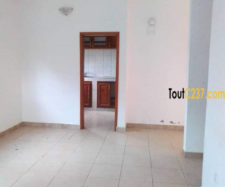 Studio moderne à louer à Carrefour Agip, Douala