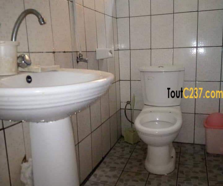 Villa à louer à Bonamoussadi sable, Douala
