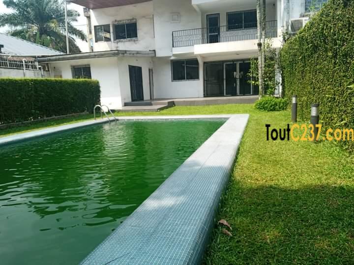 Duplex avec piscine à louer à Bonapriso, Douala