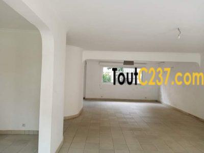 Duplex avec piscine à louer à Bonapriso, Douala