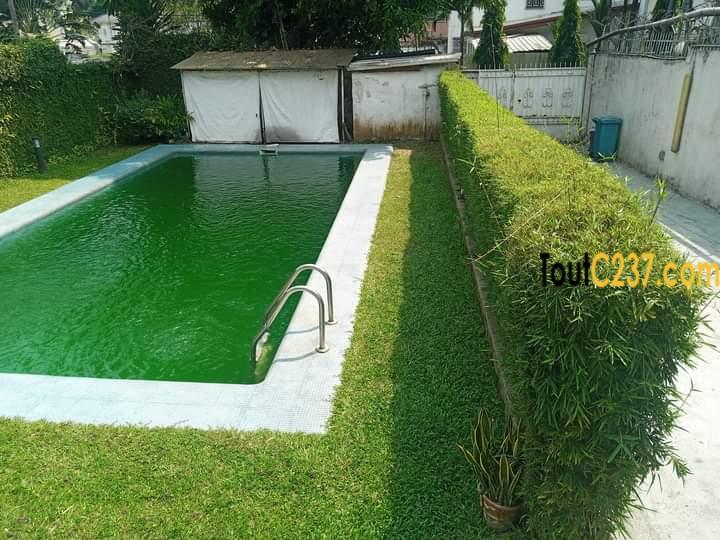 Duplex avec piscine à louer à Bonapriso, Douala