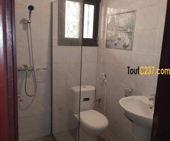 Appartement VIP à louer à Bonamoussadi, Douala