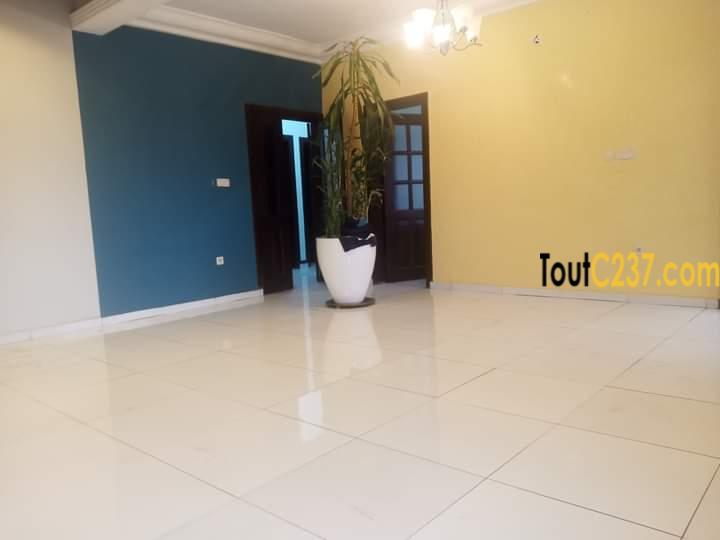 Appartement à louer à Bonapriso, Douala