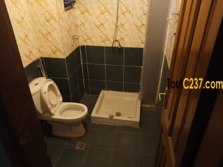 Appartement à louer à Bonapriso, Douala