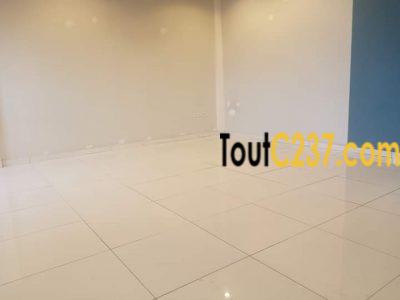 Appartement à louer à Bonapriso, Douala