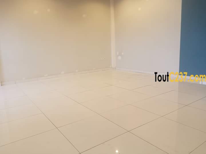 Appartement à louer à Bonapriso, Douala