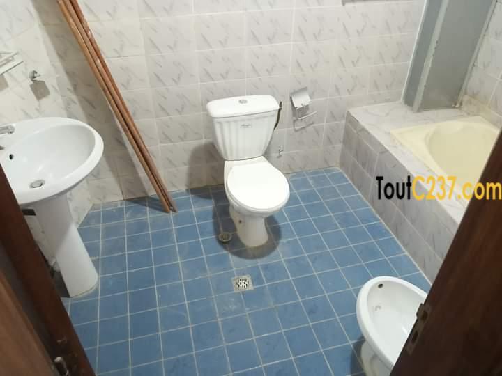 Appartement à louer à Bonapriso, Douala